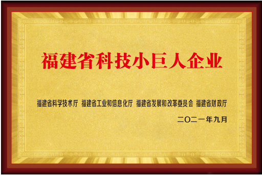 福建省科技小巨人企業(yè)